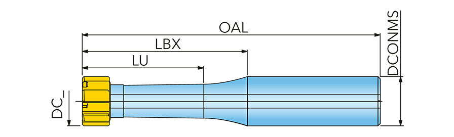 XS6135089T3R01