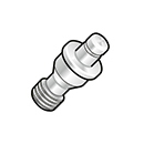 Pion